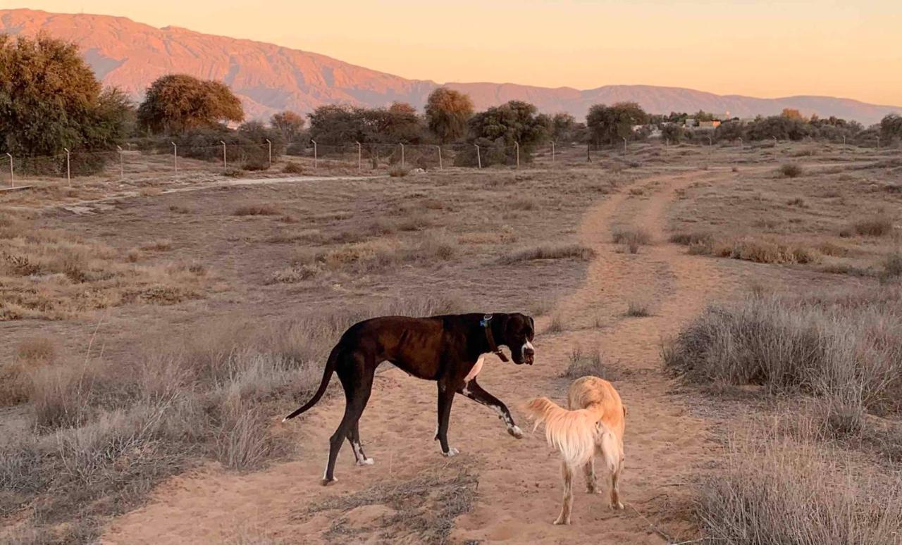 Hôtel Rak Glamping à Ras el Kaïmah Extérieur photo