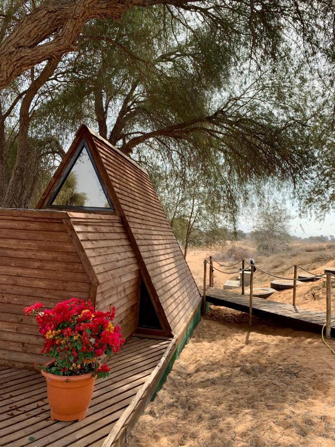 Hôtel Rak Glamping à Ras el Kaïmah Extérieur photo