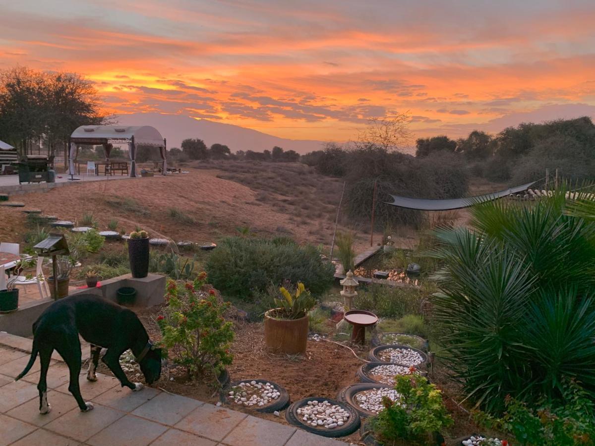 Hôtel Rak Glamping à Ras el Kaïmah Extérieur photo