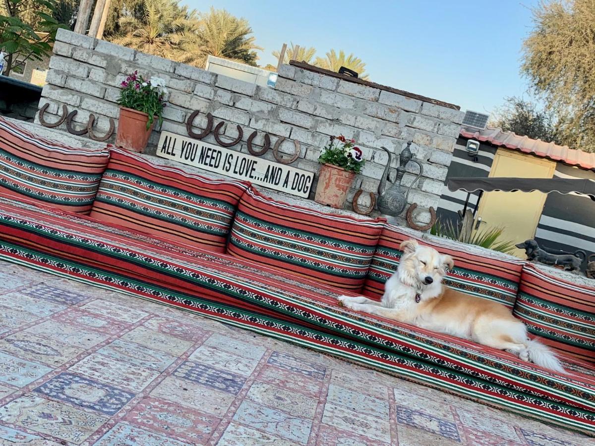 Hôtel Rak Glamping à Ras el Kaïmah Extérieur photo