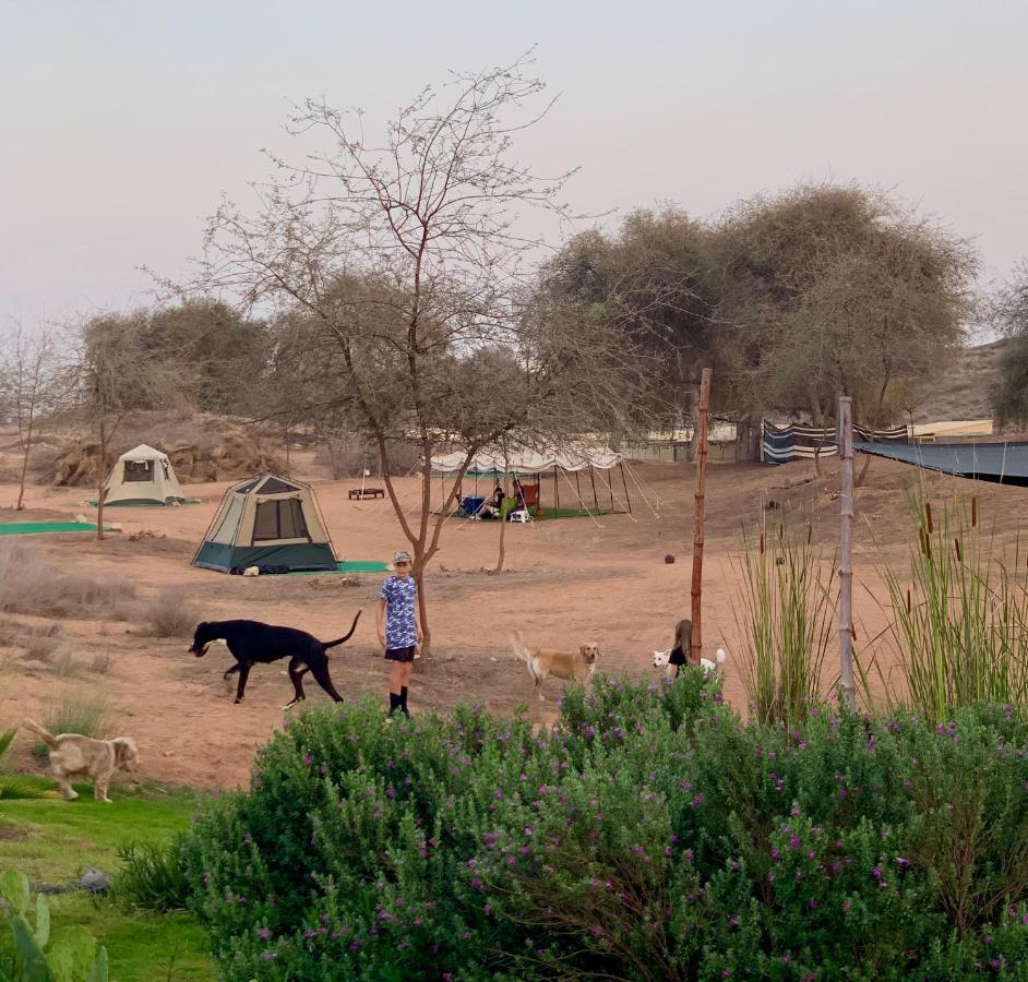 Hôtel Rak Glamping à Ras el Kaïmah Extérieur photo