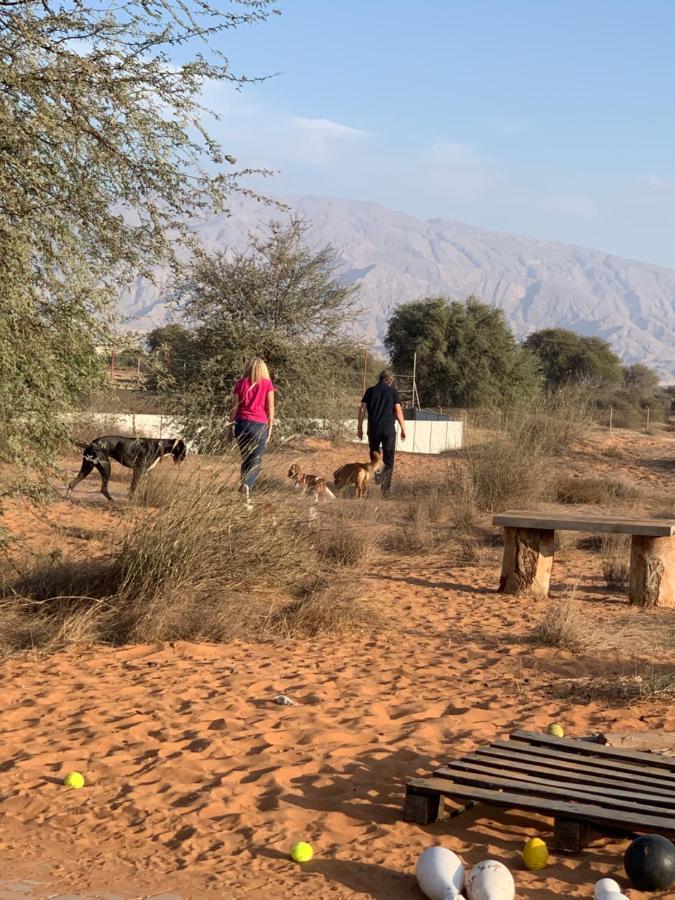 Hôtel Rak Glamping à Ras el Kaïmah Extérieur photo