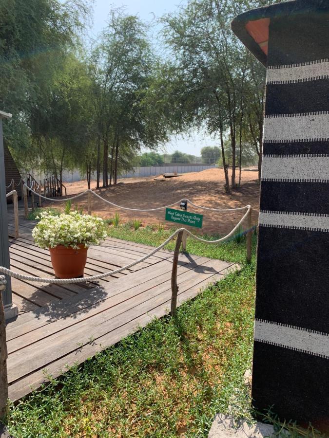Hôtel Rak Glamping à Ras el Kaïmah Extérieur photo