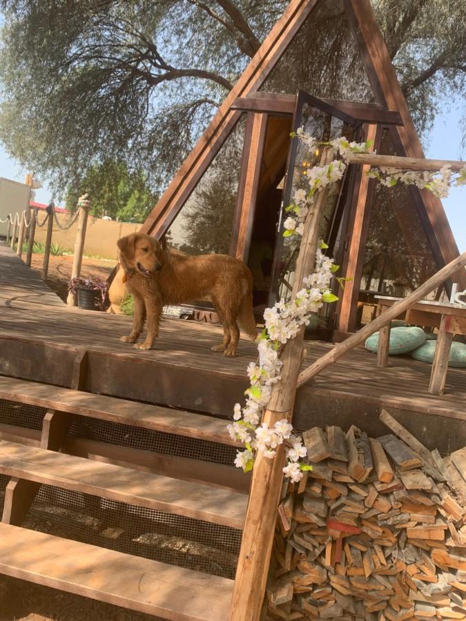 Hôtel Rak Glamping à Ras el Kaïmah Extérieur photo